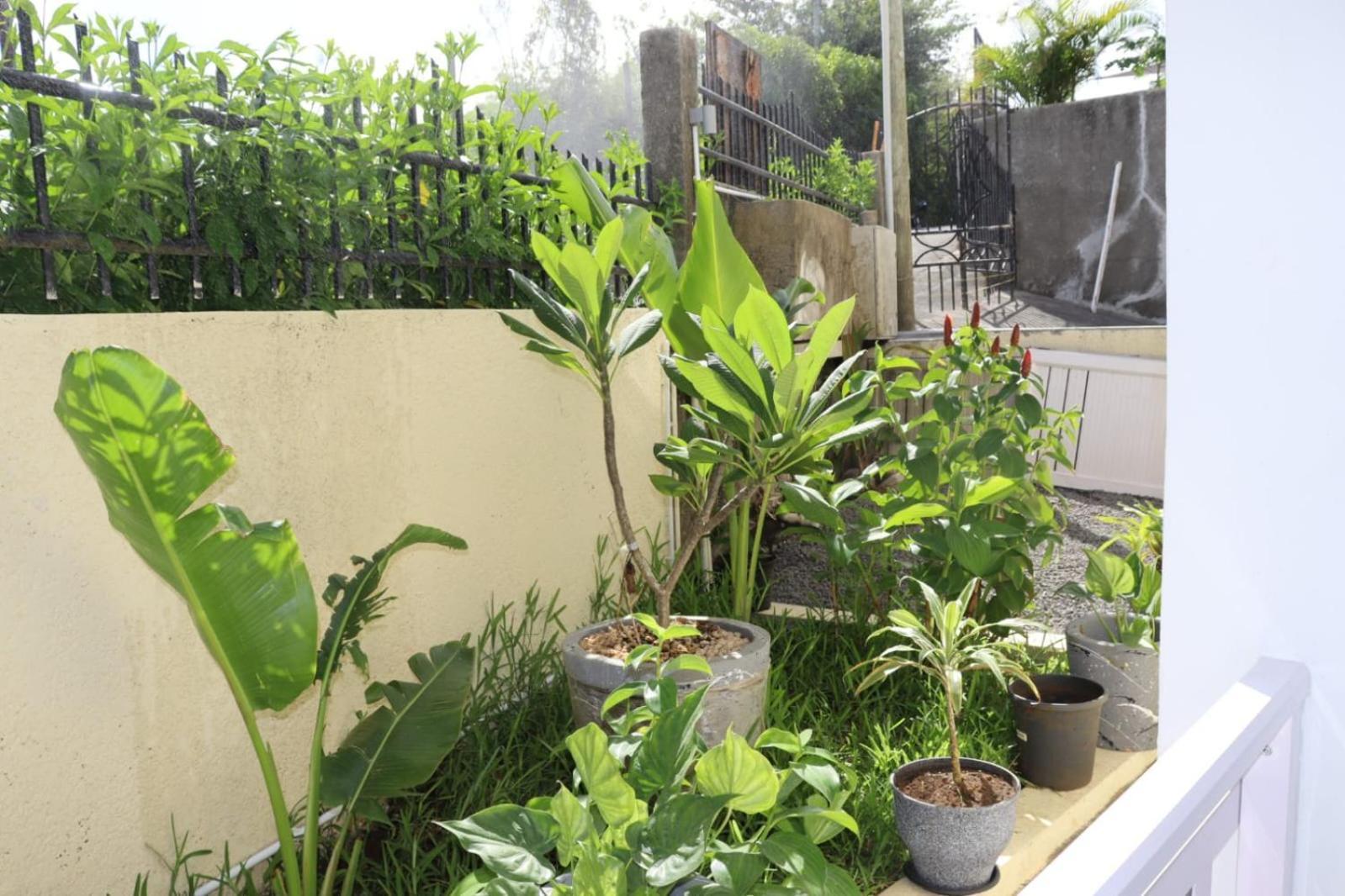 Garden Suite Trou d'Eau Douce Esterno foto